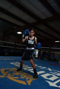 TITLE Boxing USA Boxing Competition Gloves - Elastic 26 TITLE Boxing USA Boxing Competition Gloves - Elastic -Boxing Shop ACGESBL 1