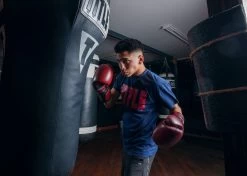 TITLE Boxing Blood Red Leather Training Gloves -Boxing Shop BRTGRD 4