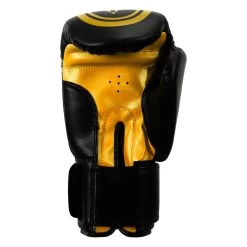 TITLE Classic Speed Boxing Gloves -Boxing Shop CABG12 BK GD 4