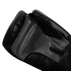 TITLE Classic Speed Boxing Gloves -Boxing Shop CABG12 BK GR 5