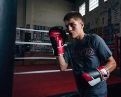 Fighting Big Logo Bag Gloves -Boxing Shop FSABG2BKRD 3