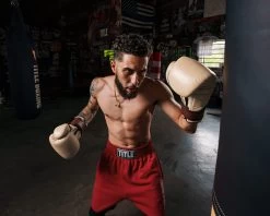 TITLE Boxing Honorary Bag Gloves -Boxing Shop GOSBGTNMR 1