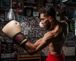 TITLE Boxing Honorary Bag Gloves -Boxing Shop GOSBGTNMR 3