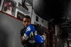 TITLE Boxing Premium Leather Performance Training Gloves -Boxing Shop LPTGBL