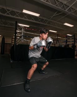 TITLE Platinum Prolific Training Gloves -Boxing Shop PLTGSVBK 1 3