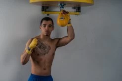 Pro Mex Professional Speed Bag V2.0 -Boxing Shop PMPSB25X8andSMHWXLGD