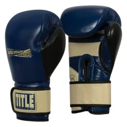 TITLE Boxing Rock Steady Leather Training Gloves -Boxing Shop RSBVLTTG BL TN 2