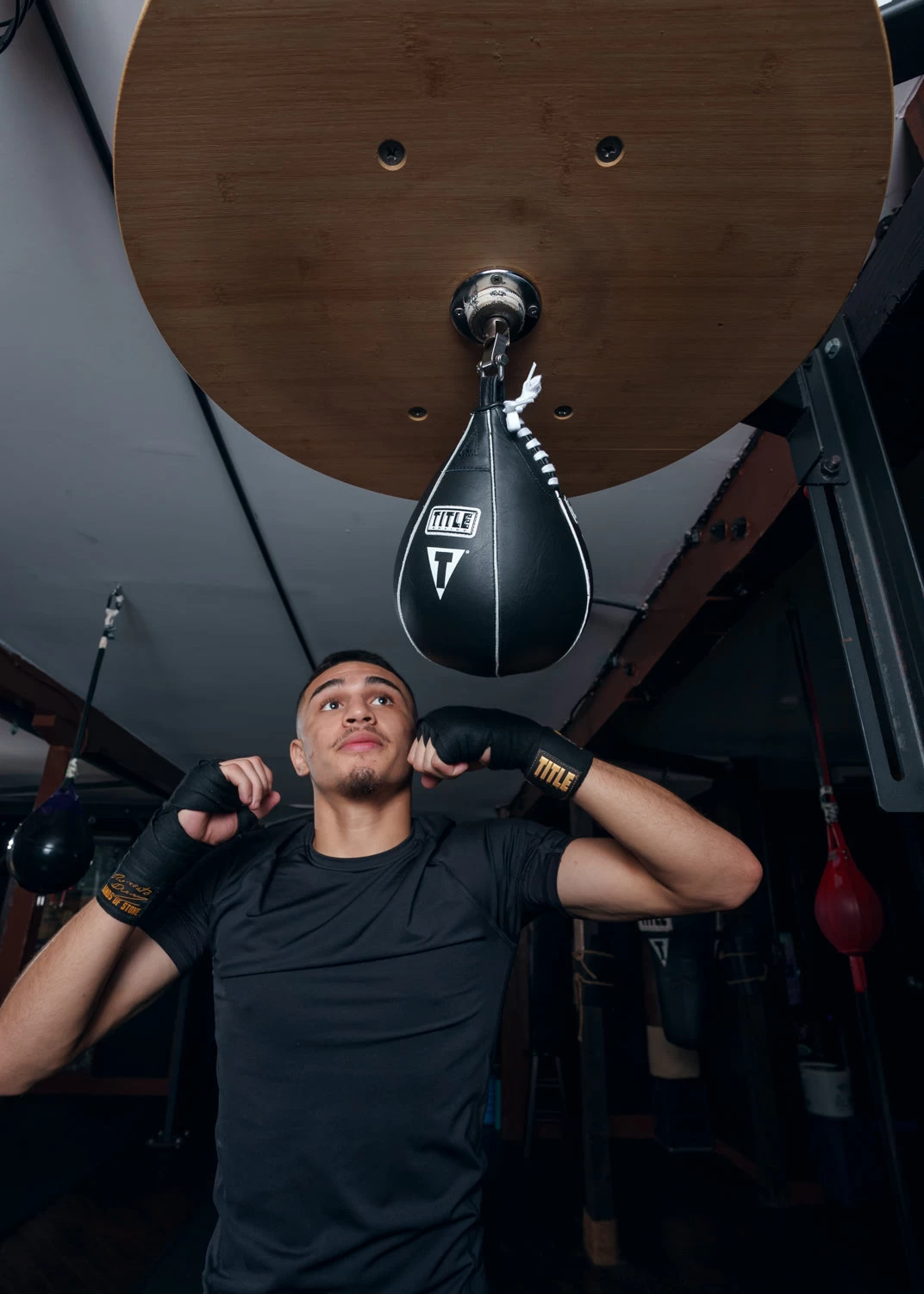 TITLE Boxing Super Speed Bags 4 TITLE Boxing Super Speed Bags - Image 2