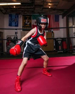 TITLE Boxing Aerovent Elite Amateur Boxing Set 4 V. 2.0 -Boxing Shop TABS19BKRD 2 1