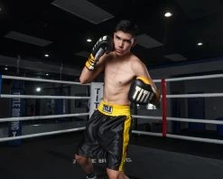 TITLE Boxing Edge Boxing Trunks 2.0 -Boxing Shop TBTC2BKGD2