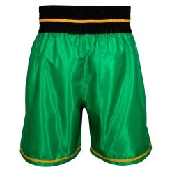 WBC By TITLE Boxing Professional Boxing Trunks 25 WBC By TITLE Boxing Professional Boxing Trunks -Boxing Shop WBCBT GN BK 3