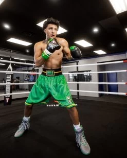 WBC By TITLE Boxing Professional Boxing Trunks 23 WBC By TITLE Boxing Professional Boxing Trunks -Boxing Shop WBCBTGN