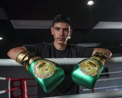 WBC By TITLE Boxing Green Belt Sparring Gloves 35 WBC By TITLE Boxing Green Belt Sparring Gloves -Boxing Shop WGBSGGDGNBK 2