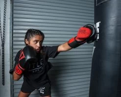 TITLE Boxing All Heart Bag Gloves 2.0 -Boxing Shop ahabg2 bk rd 2 1