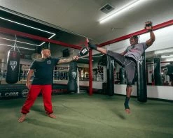 TITLE Boxing Duo Target Training Paddle -Boxing Shop dttp 2 2