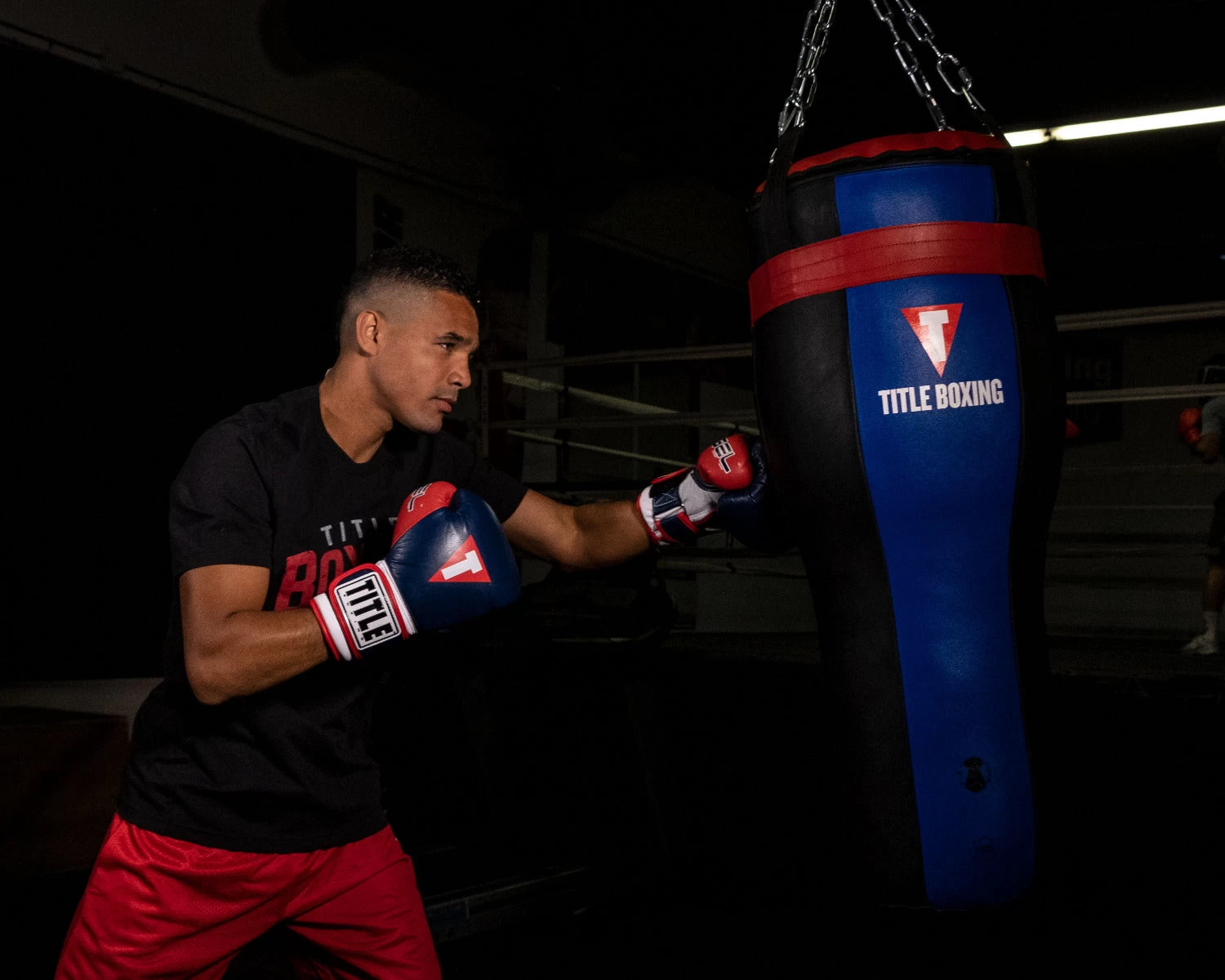 TITLE Boxing Fiber Flex Angle Heavy Bag 3 TITLE Boxing Fiber Flex Angle Heavy Bag - Image 2