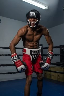 TITLE Boxing Gel World Full Face Training Headgear -Boxing Shop gthgf bk