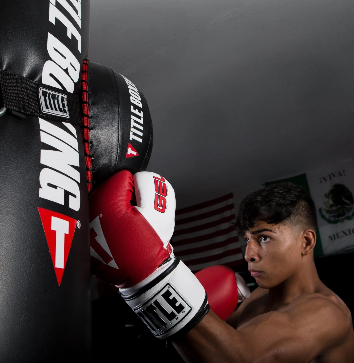 TITLE Boxing Heavy Bag Strike Foe 4 TITLE Boxing Heavy Bag Strike Foe - Image 2