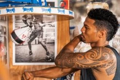 TITLE Boxing Lightning Fast Speed Bag -Boxing Shop lftsb