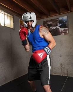 TITLE Boxing Masters USA Boxing Competition Gloves - Elastic -Boxing Shop macges rd 1 1