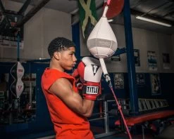 TITLE Boxing Gel Professional Series Training Gloves -Boxing Shop pgstg