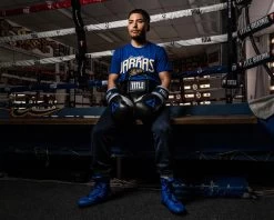 TITLE Platinum Perilous Boxing Training Gloves -Boxing Shop ppstge 1 1