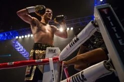 TITLE Boxing Ring Turnbuckle Covers 23 TITLE Boxing Ring Turnbuckle Covers -Boxing Shop prbc lifestyle 2