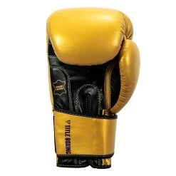 TITLE Boxing Roberto Duran Leather Training Gloves -Boxing Shop rdtg gd bk 04