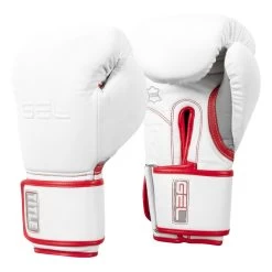 TITLE Boxing Gel Special Edition Bag Gloves -Boxing Shop setgbg sv wh rd 02