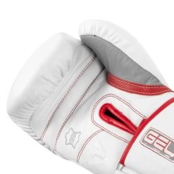 TITLE Boxing Gel Special Edition Bag Gloves -Boxing Shop setgbg sv wh rd 05