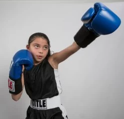 TITLE Boxing Aerovent Elite Amateur Set - Original -Boxing Shop tabs 1