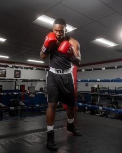 TITLE Boxing Aerovent Elite Amateur Set - Original -Boxing Shop tabs bk 1 1