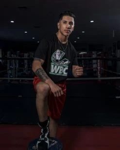 WBC By TITLE Boxing Flag Tee 11 WBC By TITLE Boxing Flag Tee -Boxing Shop wbct2