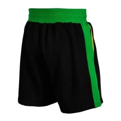 WBC By TITLE Boxing Sweat Shorts -Boxing Shop wbctts bk gn 2