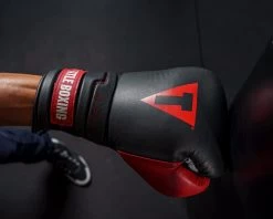 TITLE Boxing Z-FLY Bag Gloves -Boxing Shop zflybg bk rd 6 1